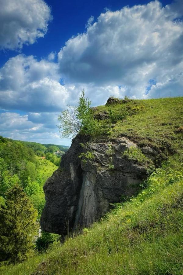 Апартаменты Steinberg-Blick Херцберг-ам-Гарц Экстерьер фото